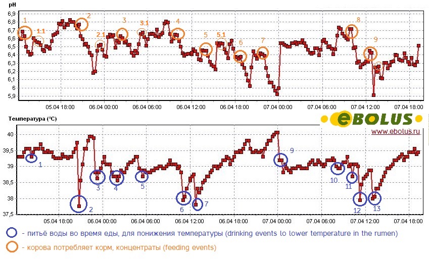 EBOLUS pH data analysis